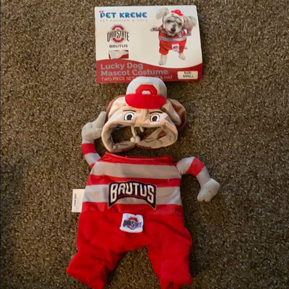 Dog outfit